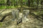 Солнечногорский парк. Неординарные скульптуры